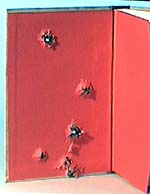 BRANCHES: inside cover showing 9mm bullet exit holes